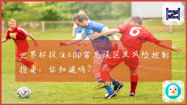 世界杯投注app常见误区及风险控制指南，你知道吗？