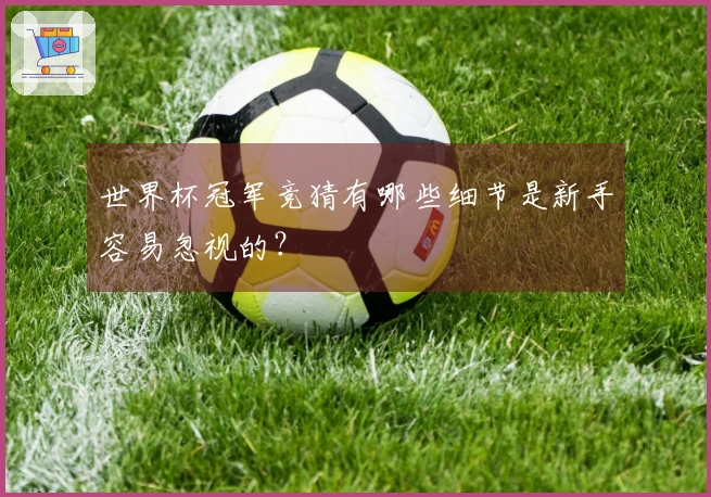 世界杯冠军竞猜有哪些细节是新手容易忽视的？
